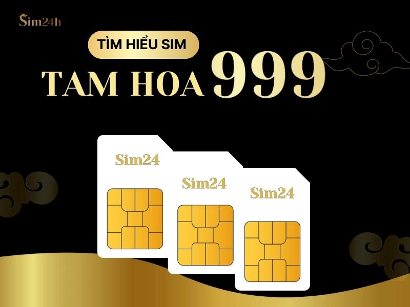 SIM ĐUÔI 999 MANG Ý NGHĨA THỊNH VƯỢNG TRƯỜNG TỒN